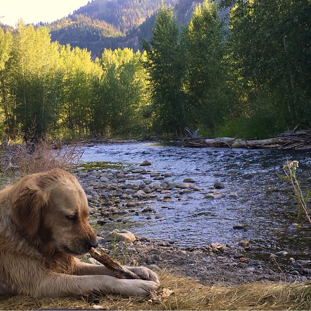 Meet your Posher, Diane